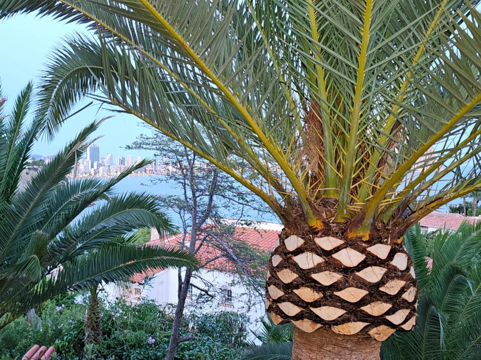 Apartmán Casa Veintiuno En Calp Exteriér fotografie